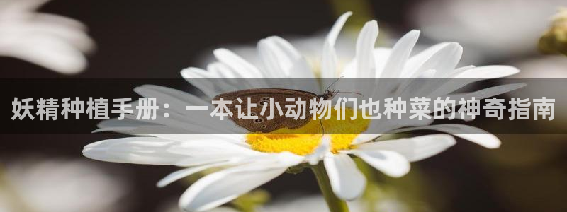 虫虫漫画免费的热门的漫画好看的漫画排行榜：妖精种植手册：一本让小动物们也种菜的神奇指南