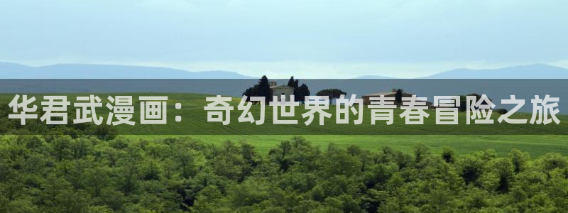 虫虫漫画免费漫画页面在线看漫画官网：华君武漫画：奇幻世界的青春冒险之旅
