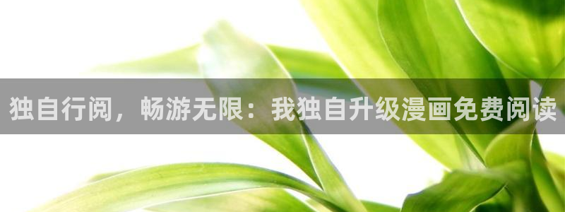 虫虫漫画最新版本：独自行阅，畅游无限：我独自升级漫画免费阅读