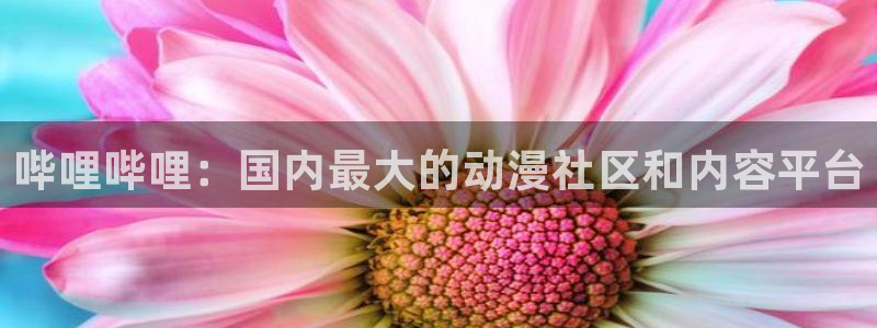 虫虫漫画免费漫画网站：哔哩哔哩：国内最大的动漫社区和内容平台