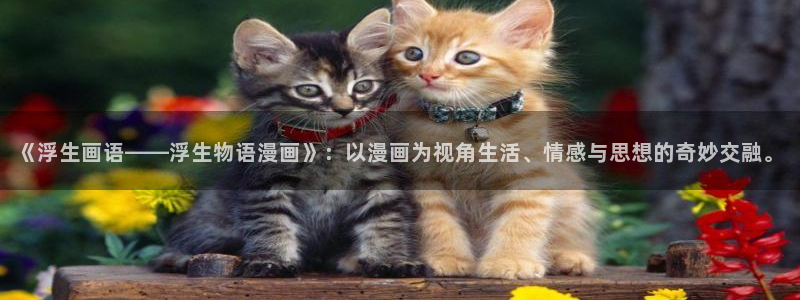 虫虫动画片：《浮生画语——浮生物语漫画》：以漫画为视角生活、情感与思想的奇妙交融。