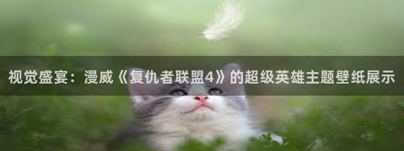 虫虫漫画:：视觉盛宴：漫威《复仇者联盟4》的超级英雄主题壁纸展示