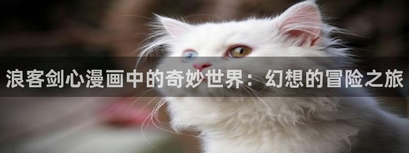 虫虫漫画破解版在线：浪客剑心漫画中的奇妙世界：幻想的冒险之旅