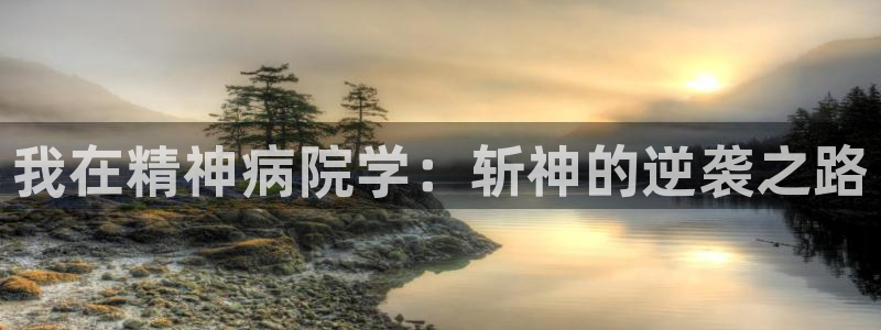 虫虫漫画韩国免费阅读网页版入口：我在精神病院学：斩神的逆袭之路