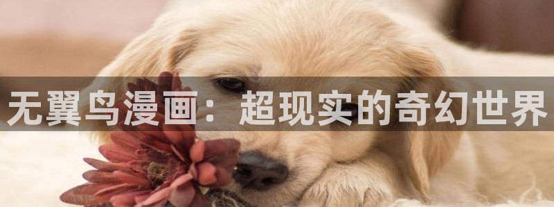 虫虫漫画免费我在线看：无翼鸟漫画：超现实的奇幻世界