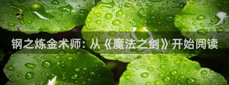 虫虫漫画免费漫画弹窗入口在线阅读：钢之炼金术师: 从《魔法之剑》开始阅读
